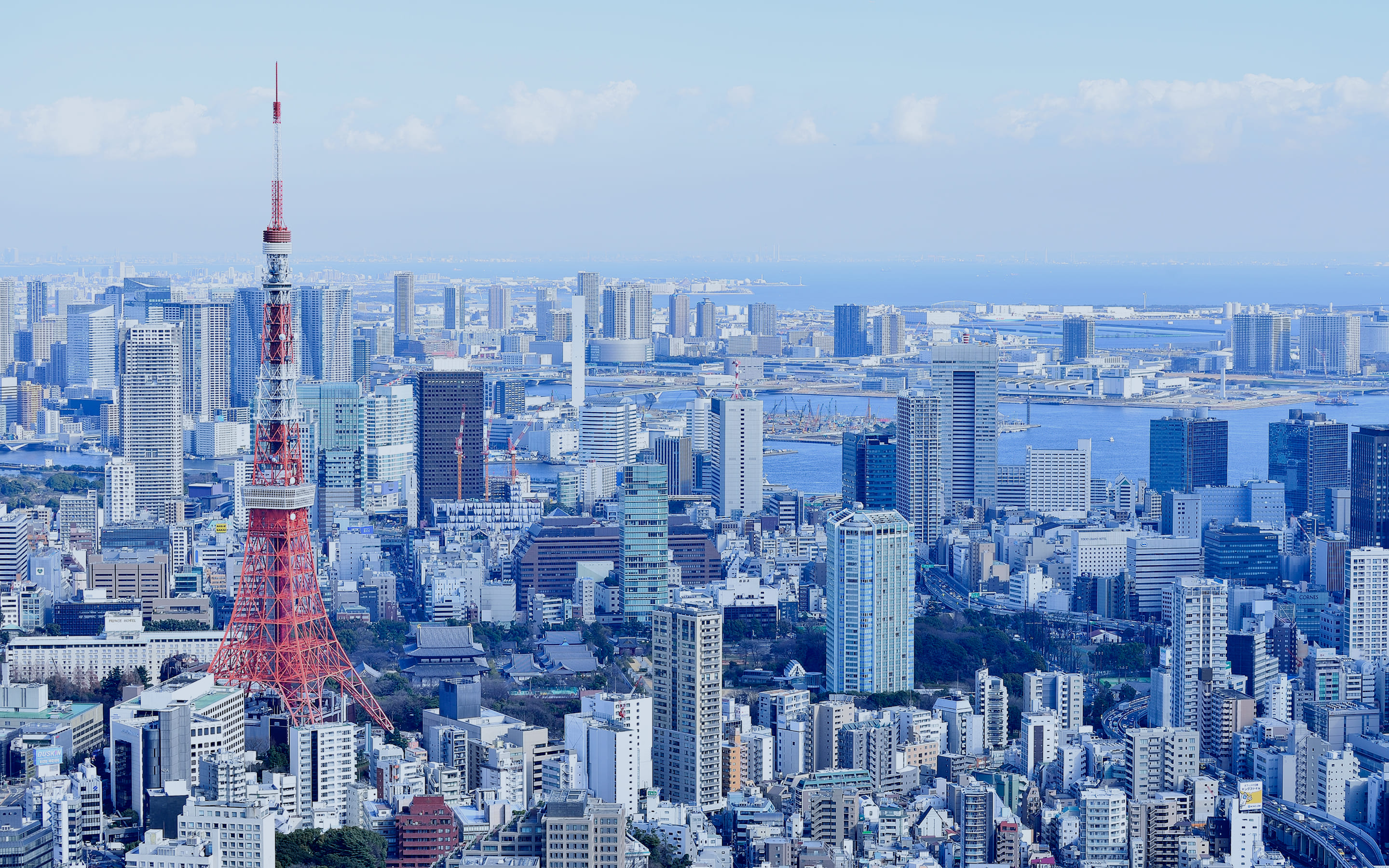 東京タワーを望む都心の街並み